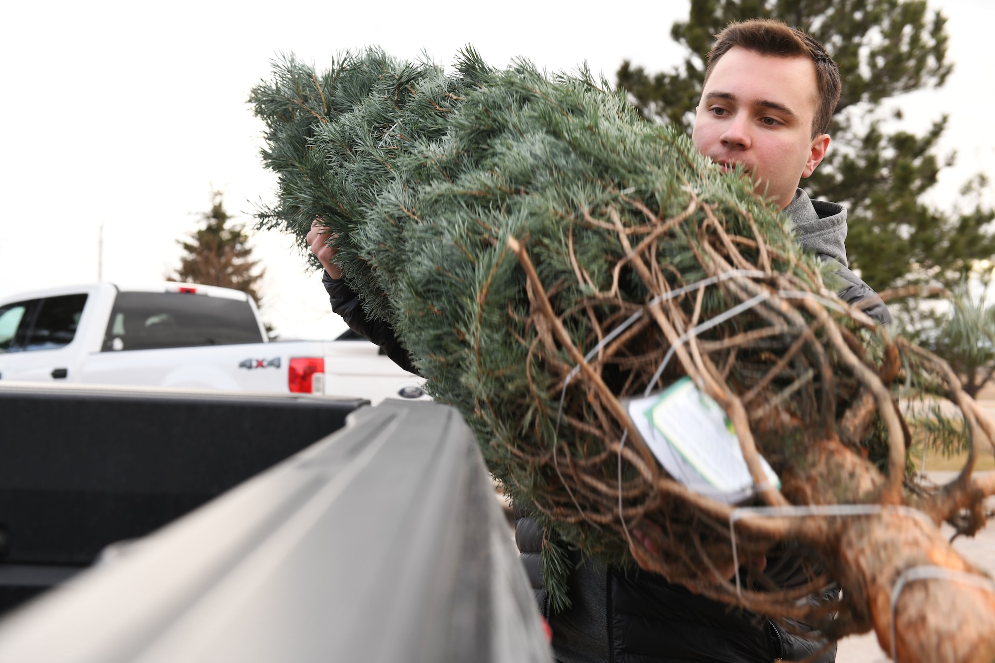 Airman 1st Class Aaron Jude, a 28th Civil Engineer Squadron fire protection apprentice, loads a tree into a truck at Ellsworth Air Force Base, S.D., Nov. 30, 2018. Trees for Troops is an event where community members all over the country donate trees to service members so they can have a free tree for the holidays. (U.S. Air Force photo by Airman 1st Class Thomas Karol)