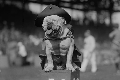 Master Your Military Mascots > U.S. DEPARTMENT OF DEFENSE > Quiz