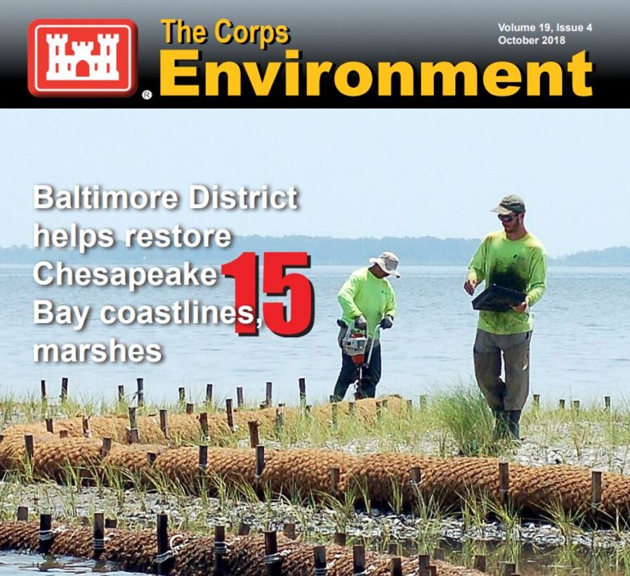 Two men walk through coastline marshes.