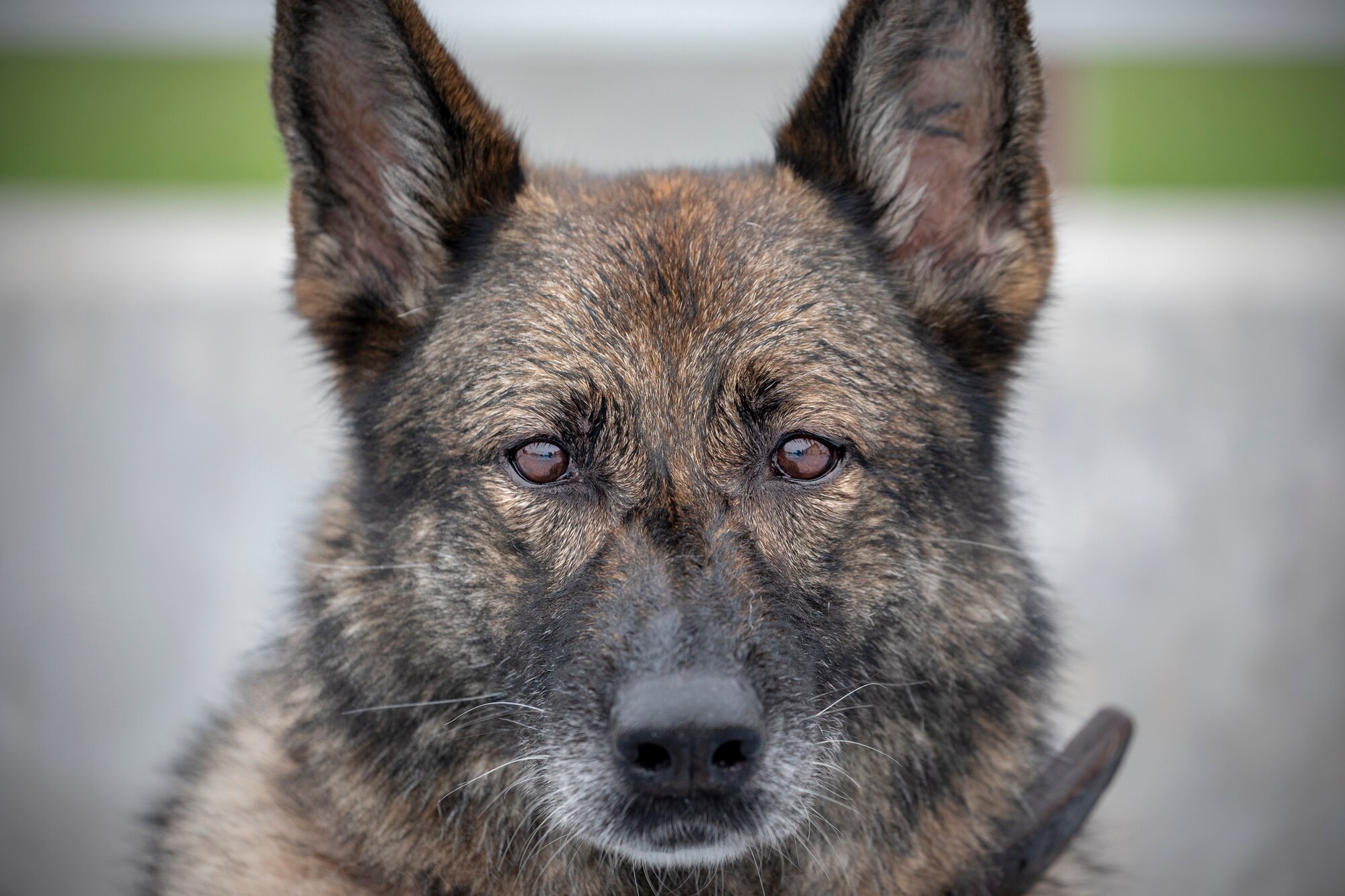 Yokota's MWD Demo