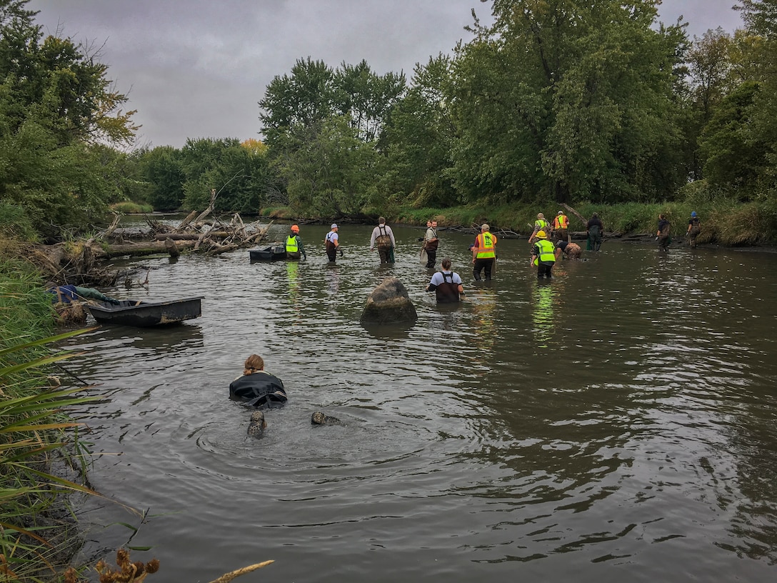 crews search river bottom for mussels