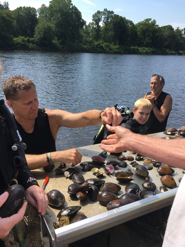 workers survey mussels on the river