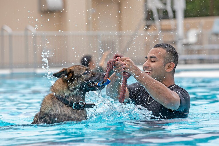 An airman and a military working dog train in a pool.