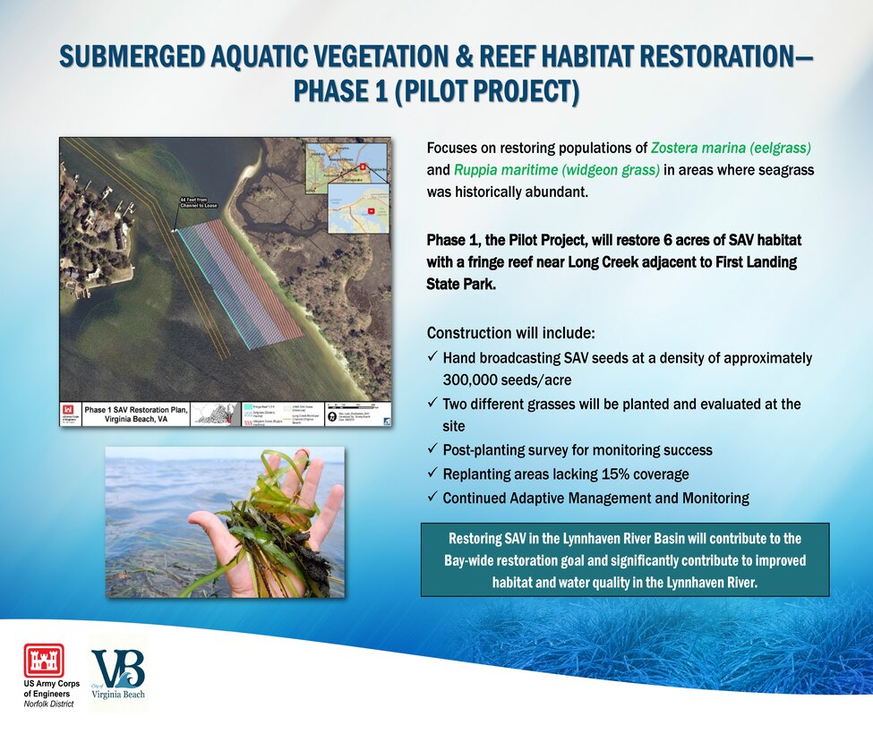 Phase 1, the Pilot Project, will restore 6 acres of SAV habitat with a fringe reef near Long Creek adjacent to First Landing State Park.