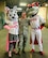 AFRC Recruiter builds major relationship with minor league team