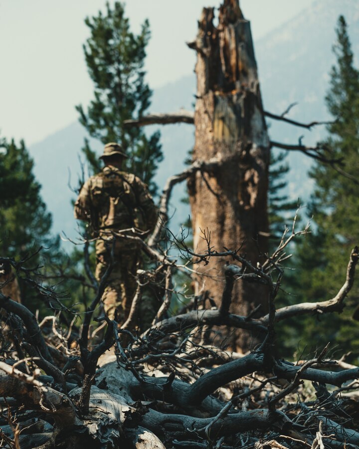 A U.S. Army Special Forces soldier with Operational Detachment Alpha takes part in the integration exercise of Training Readiness Exercise II and Mountain Training Exercise 4-18, aboard Marine Corps Mountain Warfare Training Center, Bridgeport, Calif., Aug. 5, 2018. Any special operations force element that comes to MCMWTC has the opportunity to do their list of schools; ranging from Assault Climber, Mountain Medicine, Mountain Sniper and others, or they can program their own training through use of an internal mountaineering subject matter expert. (U.S. Marine Corps photo by Lance Cpl. Rachel K. Young)
