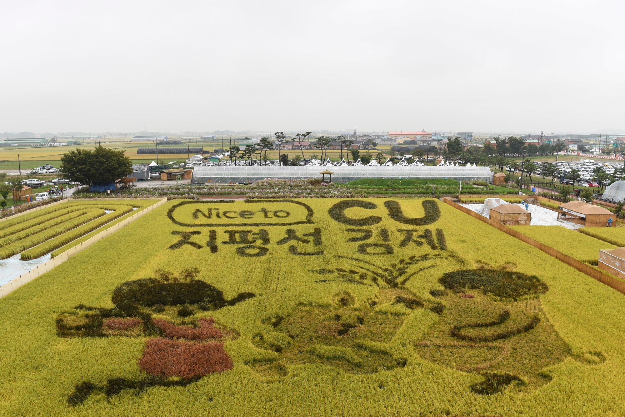 A greeting is drawn into a rice field at the Gimje Horizon Festival, Republic of Korea, Oct. 5, 2018. Airmen from Kunsan Air Base and locals alike were able to enjoy the annual celebration of the rice harvest and learn more about the local community. (U.S. Air Force photo by Senior Airman Savannah L. Waters)