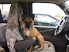 Brego takes a break from his duties as a certified therapy dog during Hurricane Maria. The five year old Belgian Malinois was assisting his dad, David Schultz, a Senior Volunteer Advisor with the Army Reserve, with volunteer recovery operations in the aftermath of the 2017 storm that devastated Puerto Rico and the surrounding territories. Brig. Gen. Dustin 