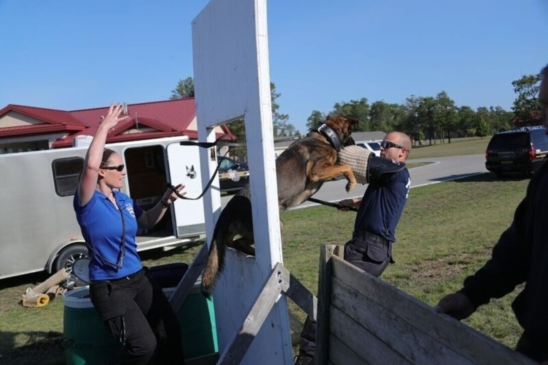 K9's train hard