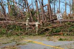 Florida National Guard members of the 753rd Brigade Engineer Battalion from Tallahassee, Florida, work on clearing the roads following the destruction of Hurricane Michael, Oct. 13, 2018, in Panama City, Florida.