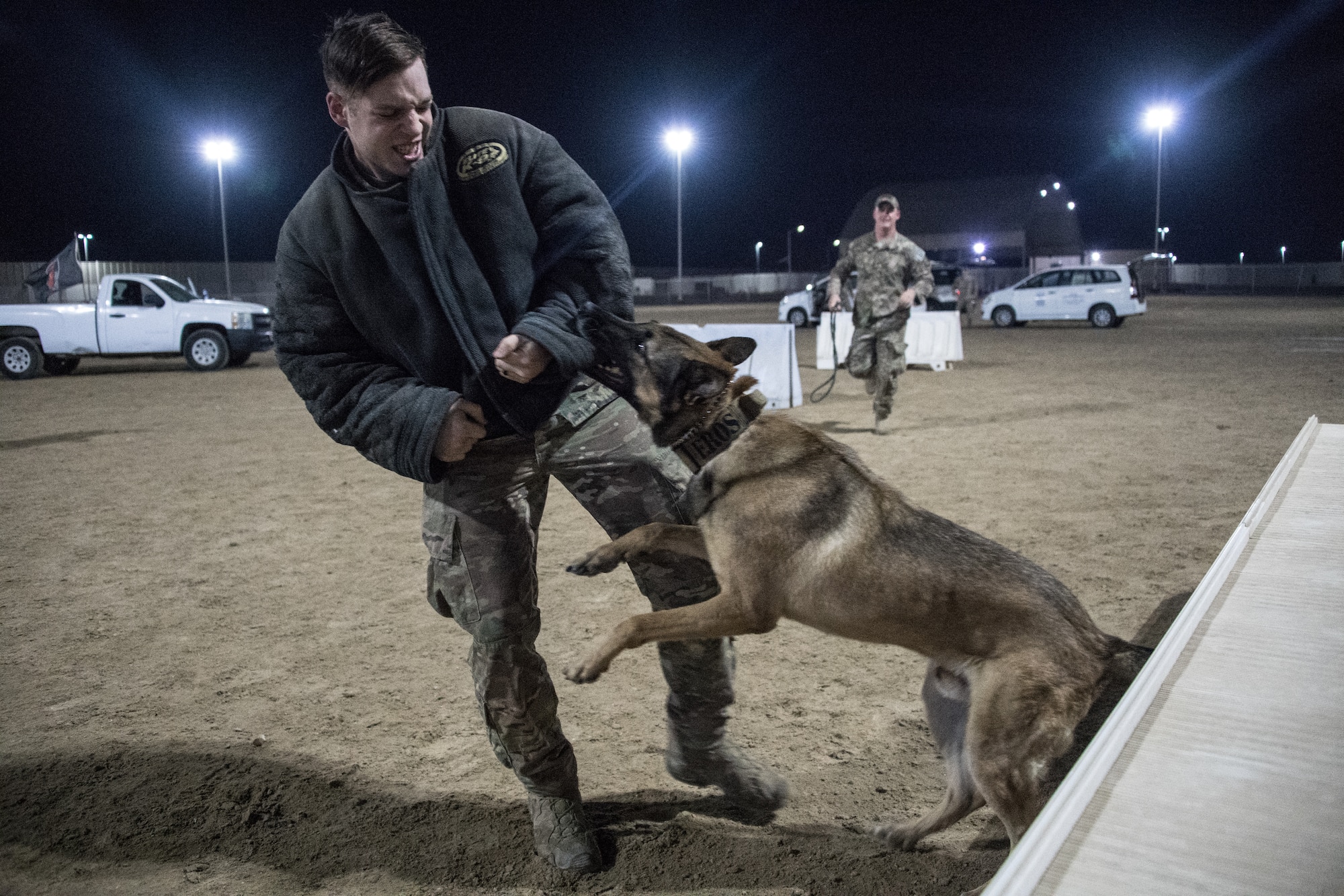 U.S. Air Force military working dog handler, Staff Sgt. Patrick Cushing, and working dog Tuka participate in a demonstration highlighting the capabilities of the team at Al Dhafra Air Base, United Arab Emirates, October 8, 2018. (U.S. Air Force photo by Tech. Sgt. Nieko Carzis)