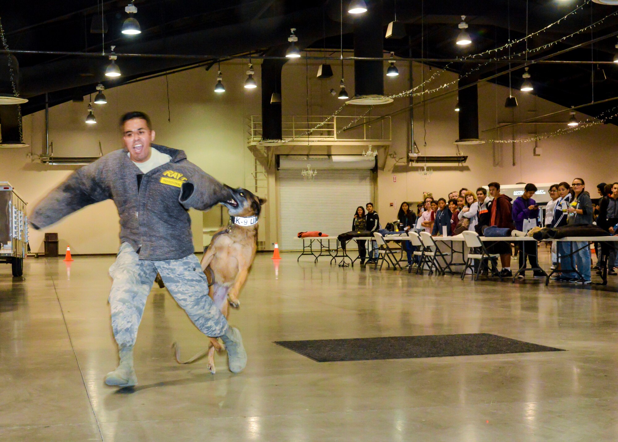 Ria, a military working dog, and Senior Airman Gibran Hernandez, both with 412th Security Forces Squadron, provide a demonstration of suspect apprehension operations during the 27th annual Salute to Youth career fair at the Antelope Valley Fair and Event Center in Lancaster, California, Oct. 11. Airmen from the 412th SFS were on hand to educate high school children about possible careers with the Air Force. (U.S. Air Force photo by Giancarlo Casem)