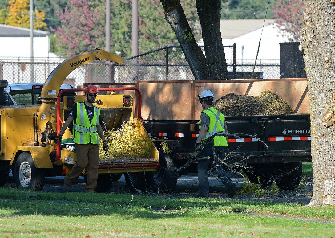 Members of Directorate of Public Works clean up tree branches after pruning trees during a Historical Reset project Oct. 12, 2018 on McChord Field, Joint Base Lewis McChord, Wash.