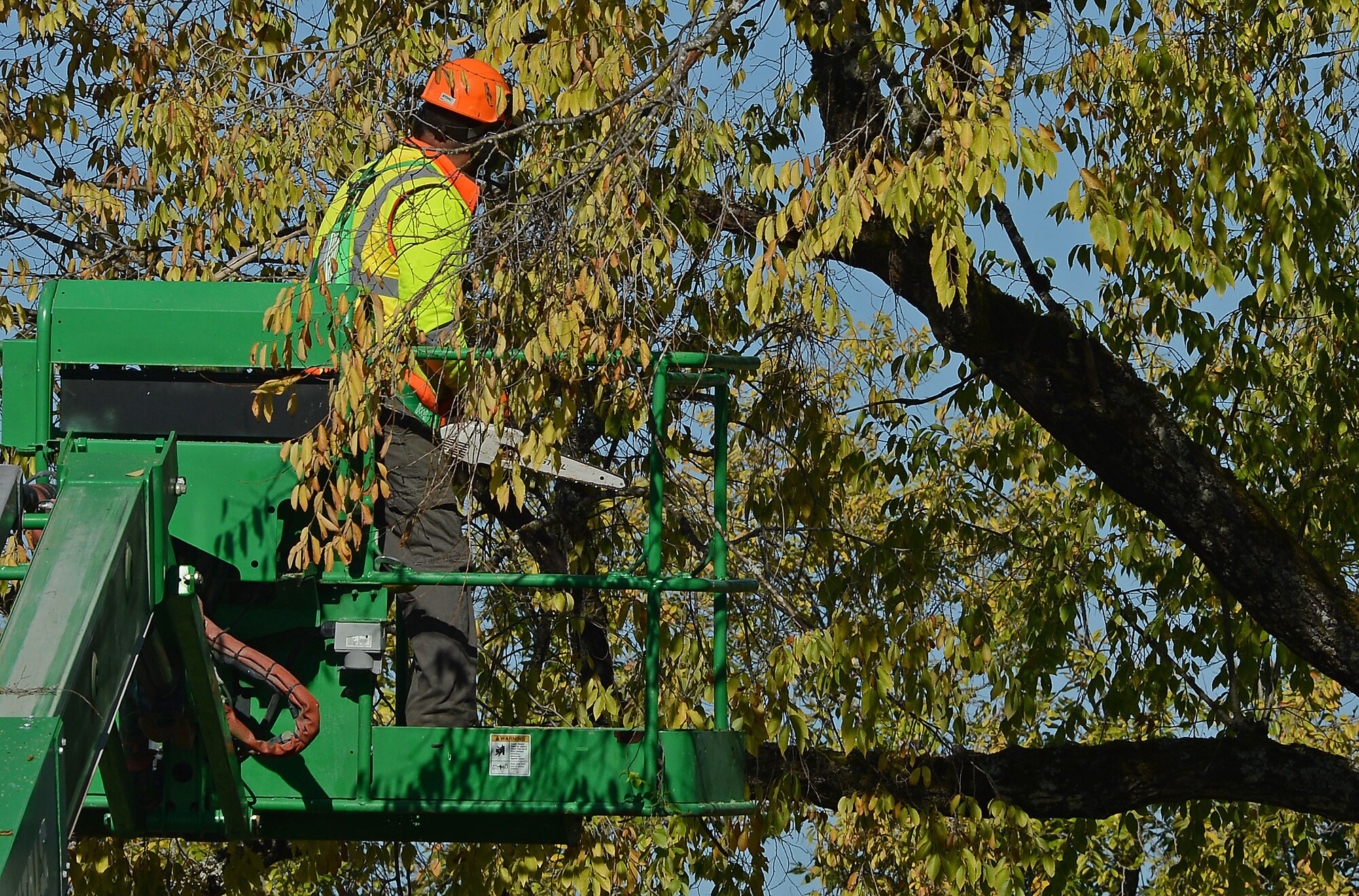 A member of Directorate of Public Works prune trees during a Historical Reset project Oct. 12, 2018 on McChord Field, Joint Base Lewis McChord, Wash.