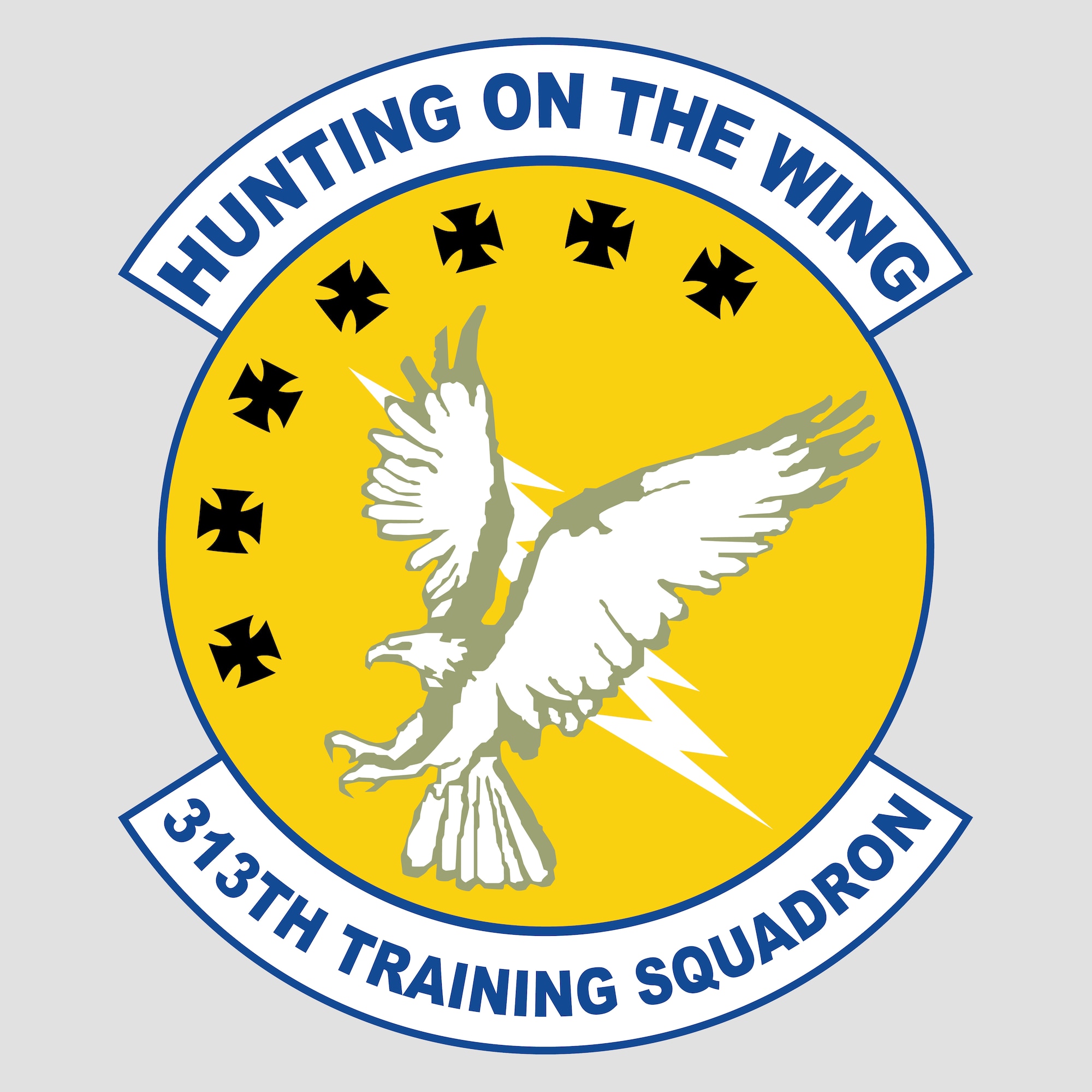 313th Training Squadron logo