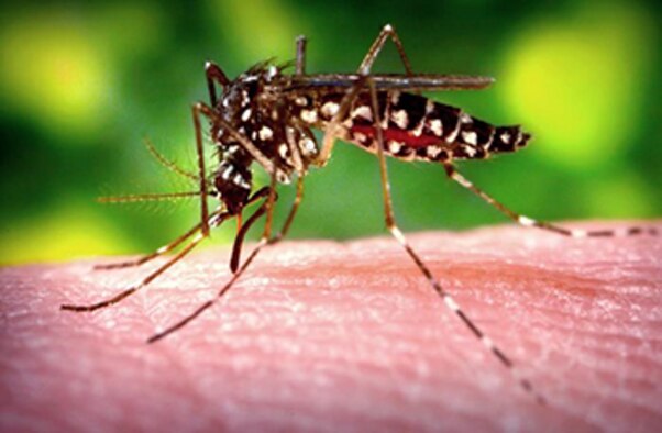 Due to the recent heavy rains, the amount of mosquitos has increased at Joint Base San Antonio-Fort Sam Houston and JBSA-Camp Bullis. Brooke Army Medical Center Environmental Health Services members are conducting mosquito surveillance and request people don’t tamper with mosquito traps.