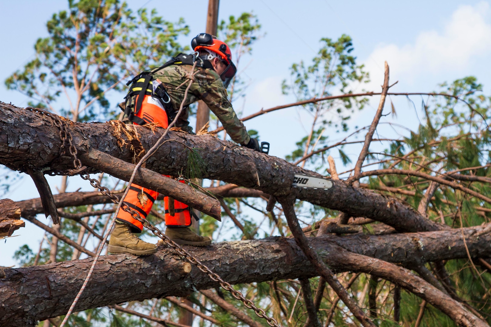 A Soldier from the Florida National Guard’s Chemical, Biological, Radiological, Nuclear and high-yield Explosive (CBRNE) Enhanced Response Force Package (CERFP) unit, uses a chainsaw to help clear a roadway to enable his team to access a remote area, as they conduct house to house wellness checks, Oct. 16, 2018. The CERFP unit utilizes varying skills to provide assistance following natural disasters.