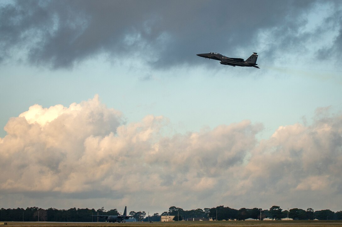 Eagle takes flight