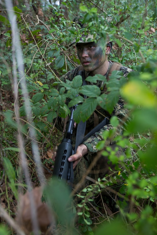 A Naval Reserve Officers Training Corps Midshipmen from Tulane University, posts security during a small unit leadership evaluation at Hopper Park, in Baton Rouge, La., October 20, 2018. Marines from Marine Forces Reserve, in New Orleans, assisted in the SULEs to provide experience and insight for midshipman to better prepare them for Officer Candidate School and for their future military careers. (U.S. Marine Corps photo by Cpl. Niles Lee)