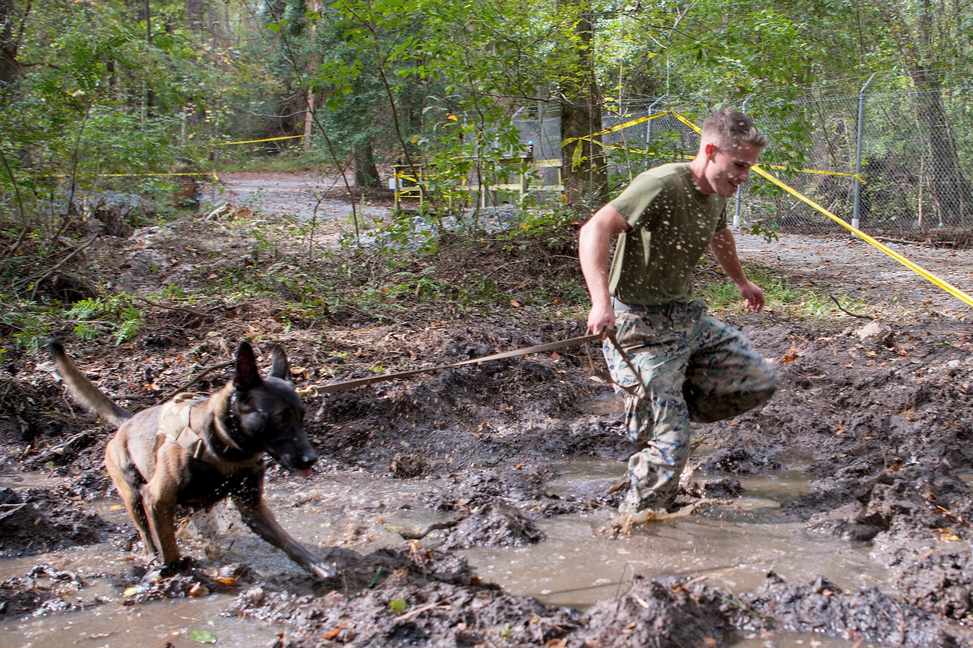 SF hosts East Coast Iron Dog competition
