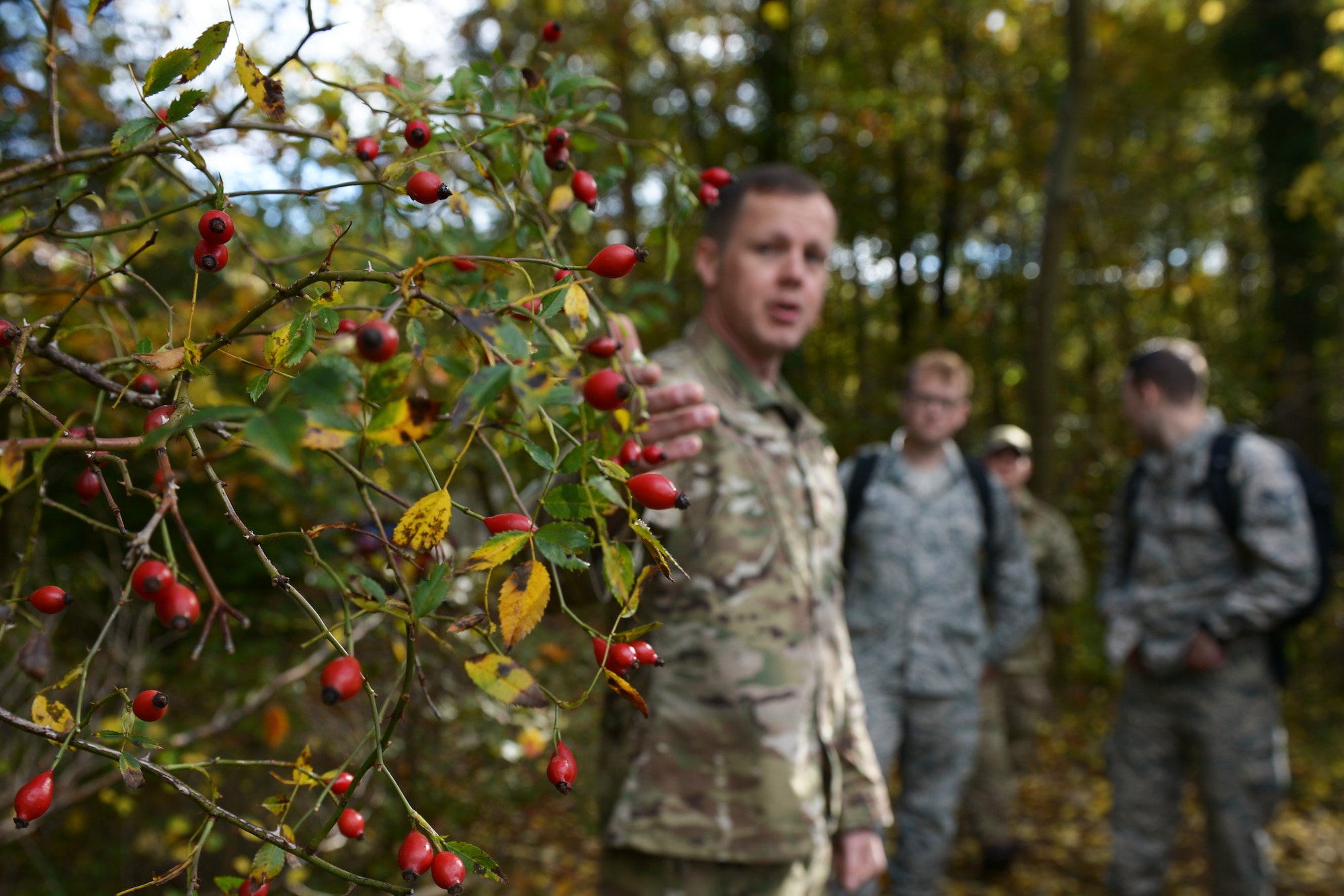 Airmen are taught how to find natural edible resources at a Survival, Evasion, Resistance and Escape training program at Royal Air Force Lakenheath, England, Oct. 18, 2018. Participants of the training were challenged to overcome food aversion by eating berries and insects found in the woods. (U.S. Air Force photo by Airman 1st Class Shanice Williams-Jones)