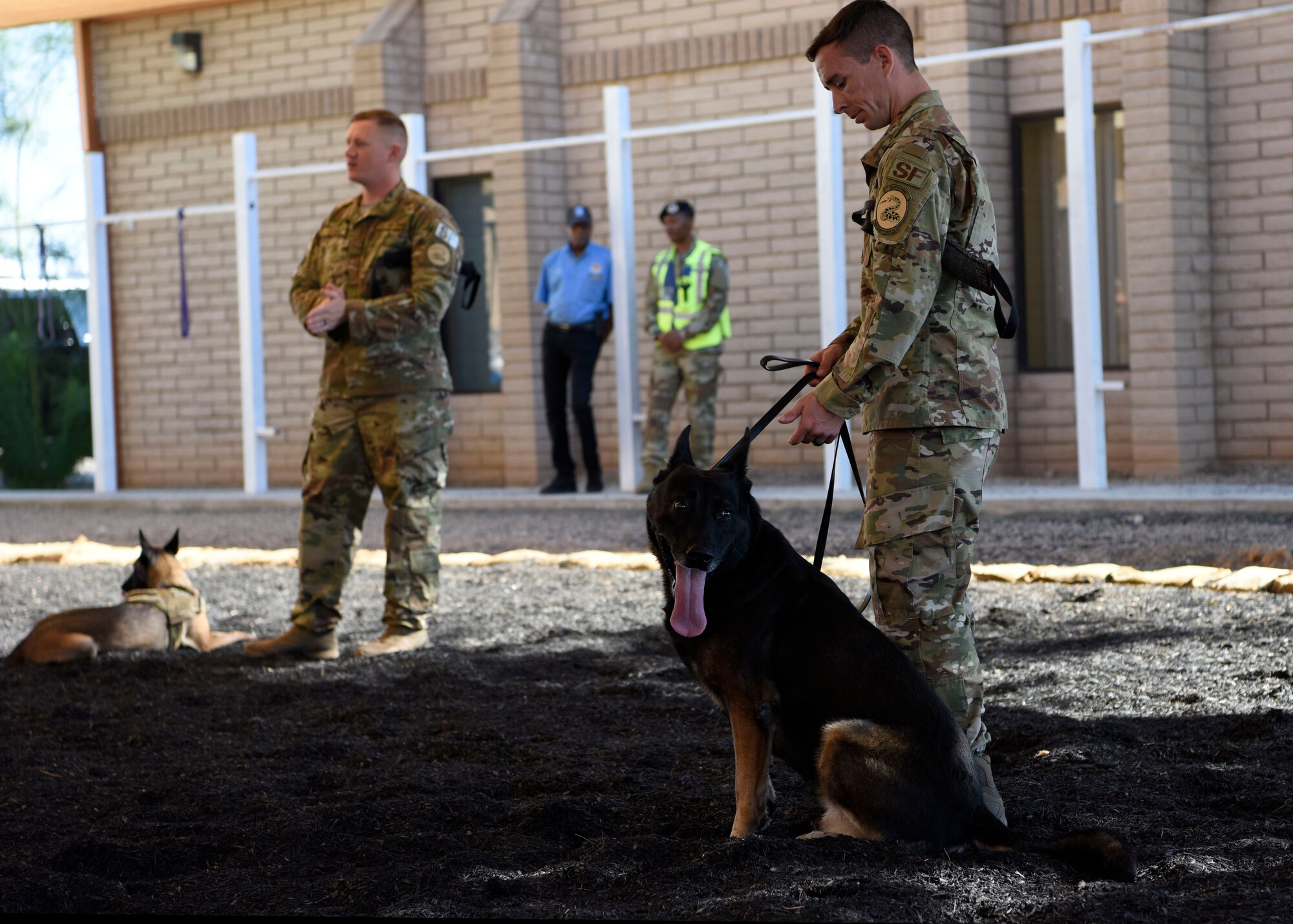 Staff Sgt. Tyler Hendrix, 56th Security Forces Squadron military working dog trainer, stands with 56th SFS MWD Rango during a demonstration Oct. 20, 2018, at Luke Air Force Base, Ariz.