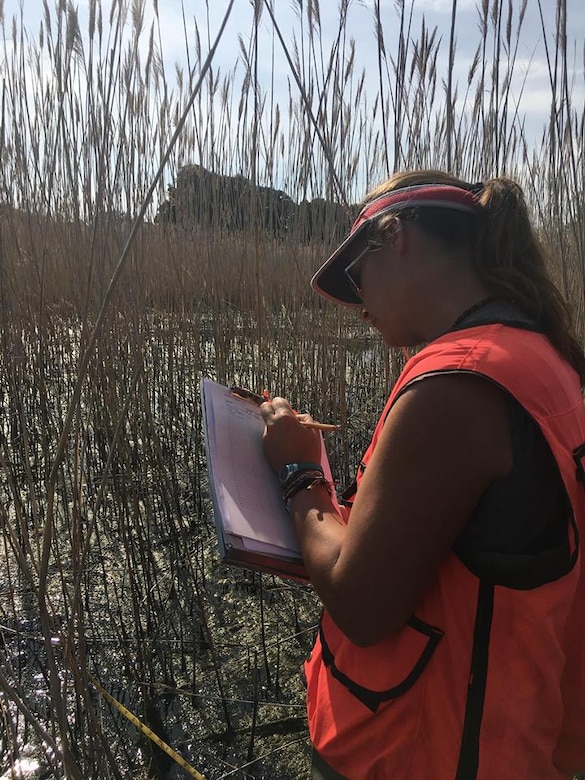 U.S. Army Corps of Engineers Biologist Katie Buckler conducts a wetland assessment in support of the Port Clinton Ecosystem Restoration Project.