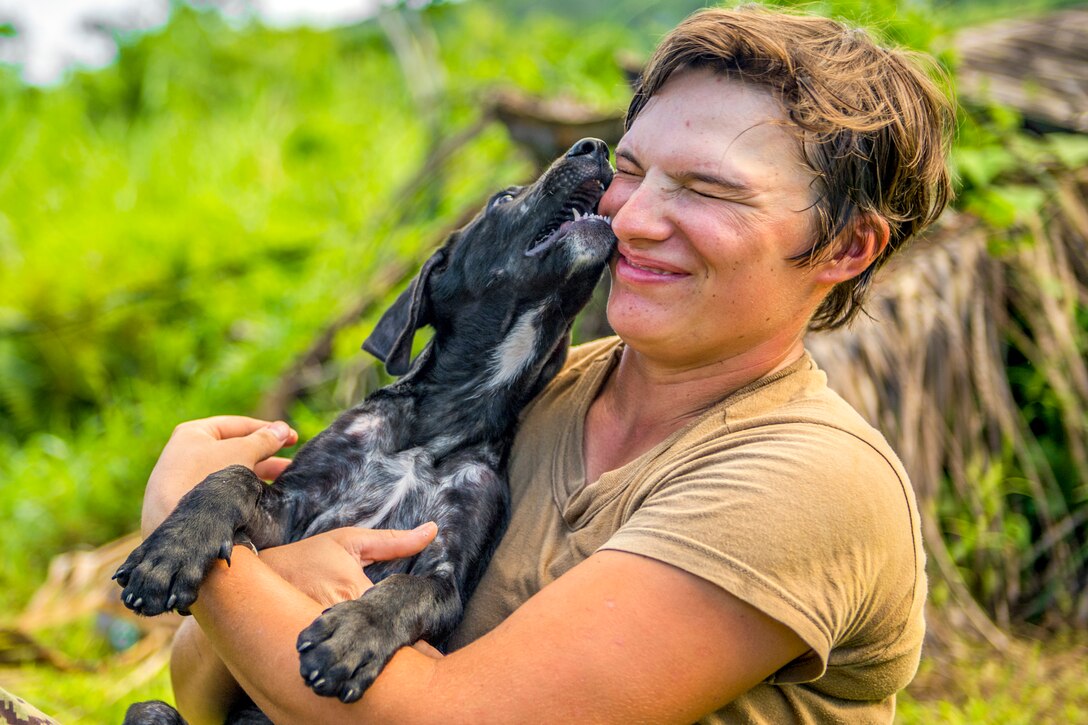 A dog kisses a sailor.