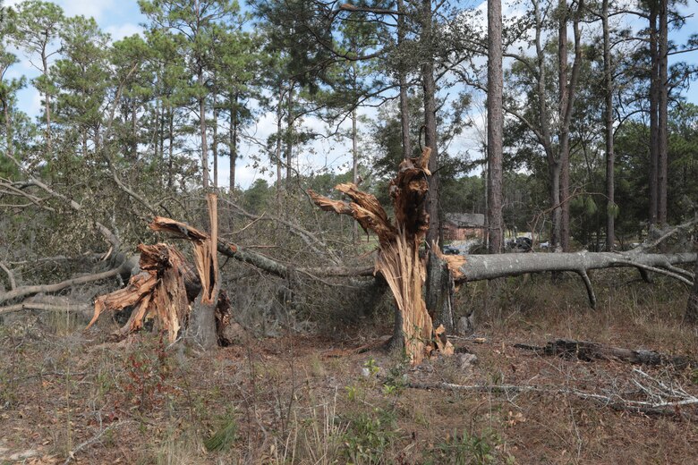 Strong wind gusts from Hurricane Michael snapped hundreds of trees, violently blew debris and toppled dozens of power lines. But damages at Marine Corps Logistics Base Albany paled in comparison to the vast devastation experienced from the EF3 tornado that touched down here in January 2017. And it’s likely the reason personnel aboard the installation were prepared to take the necessary steps to keep the mission going for the logistics base and its tenant organizations. (U.S. Marine Corps photo by Re-Essa Buckels)