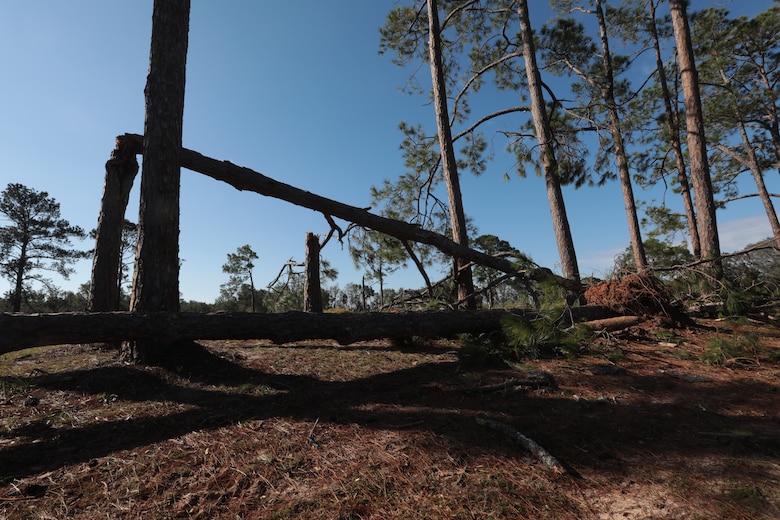 Strong wind gusts from Hurricane Michael snapped hundreds of trees, violently blew debris and toppled dozens of power lines. But damages at Marine Corps Logistics Base Albany paled in comparison to the vast devastation experienced from the EF3 tornado that touched down here in January 2017. And it’s likely the reason personnel aboard the installation were prepared to take the necessary steps to keep the mission going for the logistics base and its tenant organizations. (U.S. Marine Corps photo by Re-Essa Buckels)