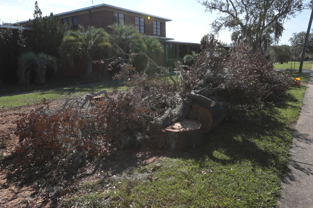 Strong wind gusts from Hurricane Michael snapped hundreds of trees, violently blew debris and toppled dozens of power lines. But damages at Marine Corps Logistics Base Albany paled in comparison to the vast devastation experienced from the EF3 tornado that touched down here in January 2017. And it’s likely the reason personnel aboard the installation were prepared to take the necessary steps to keep the mission going for the logistics base and its tenant organizations. (U.S. Marine Corps photo by Re-Essa Buckels)