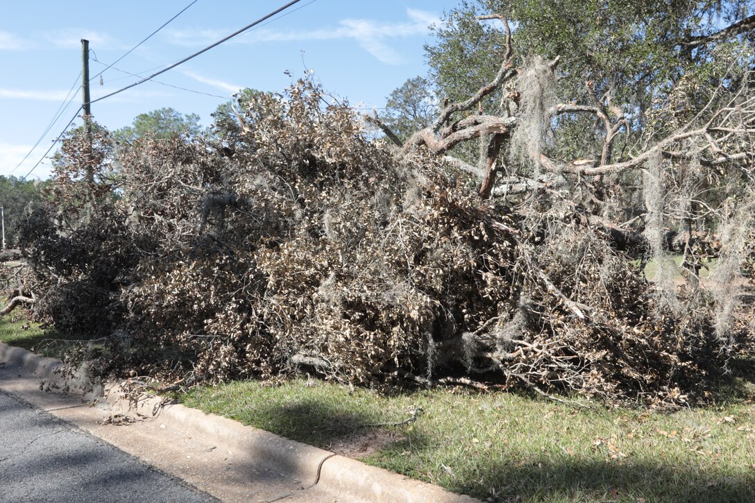 Strong wind gusts from Hurricane Michael snapped hundreds of trees, violently blew debris and toppled dozens of power lines. But damages at Marine Corps Logistics Base Albany paled in comparison to the vast devastation experienced from the EF3 tornado that touched down here in January 2017. And it’s likely the reason personnel aboard the installation were prepared to take the necessary steps to keep the mission going for the logistics base and its tenant organizations. (U.S. Marine Corps photo by Re-Essa Buckels)