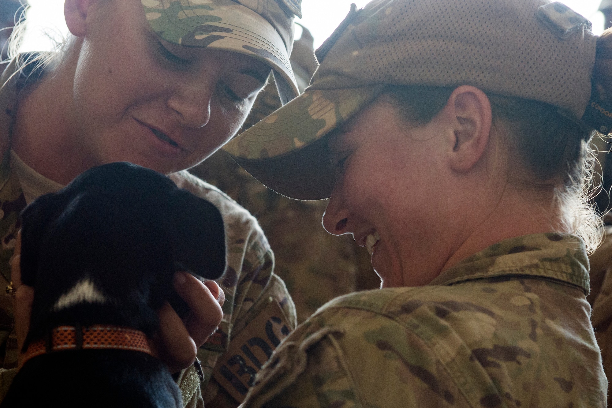 Airmen from the 823d Base Defense Squadron (BDS) greet a puppy during a redeployment, Oct. 26, 2017, at Moody Air Force Base, Ga. The 822d, 823d and 824th BDS’s provide high-risk force protection and integrated base defense for expeditionary air forces. Airmen from the 823d BDS just returned home from conducting relief-in-place in the United States Africa Command theater while Airmen from the 824th BDS took their place. (U.S. Air Force photo by Senior Airman Janiqua P. Robinson)