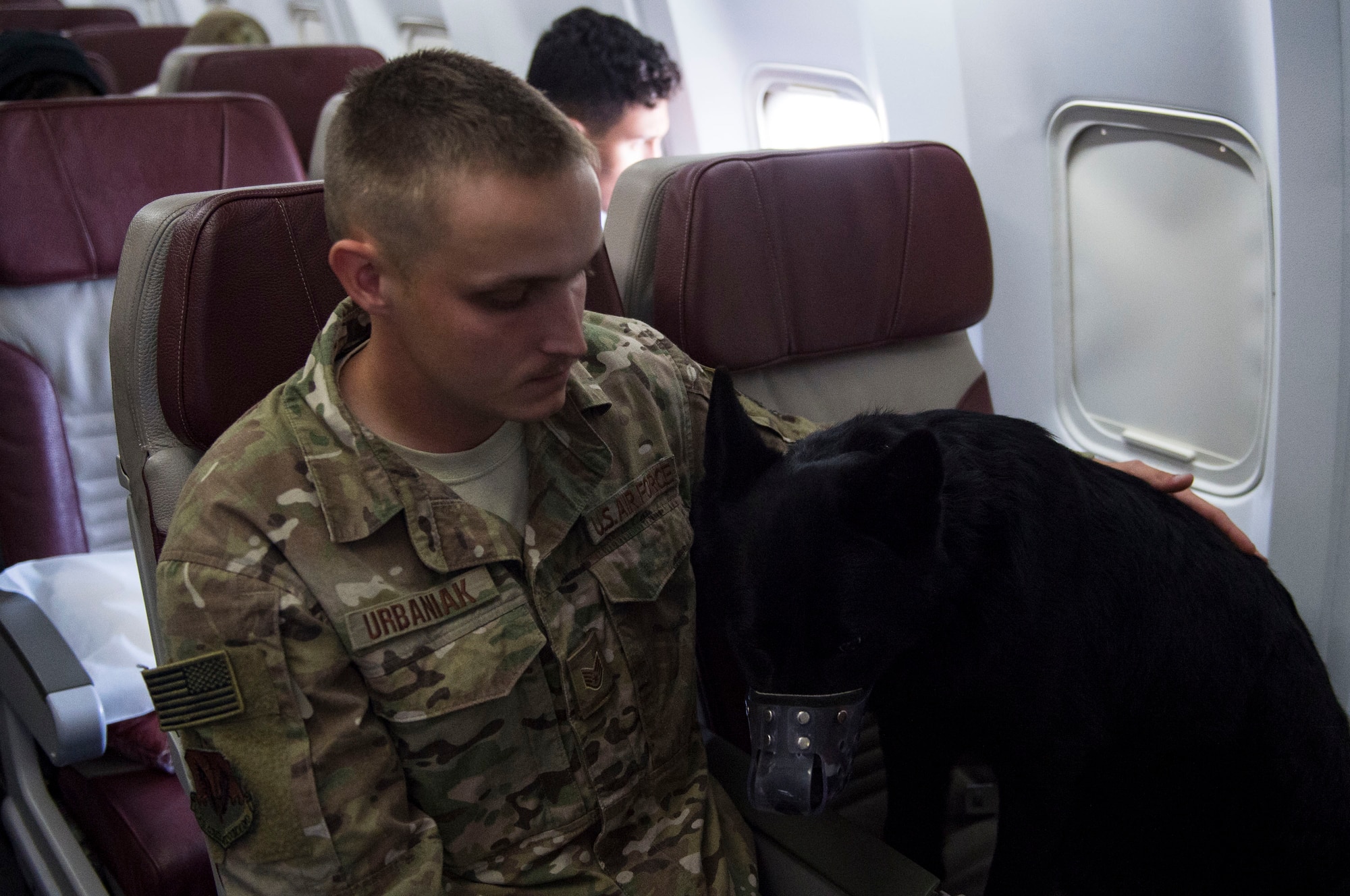 Staff Sgt. Jeffrey Urbaniak, 824th Base Defense Squadron (BDS) Military Working Dog (MWD) handler, and MWD ‘Buster’ claim their seats, 0ct. 24, 2018, at Moody Air Force Base, Ga. The 822d, 823d and 824th BDS’s provide high-risk force protection and integrated base defense for expeditionary air forces. Airmen from the 823d BDS just returned home from conducting relief-in-place in the United States Africa Command theater while Airmen from the 824th BDS took their place. (U.S. Air Force photo by Senior Airman Janiqua P. Robinson)