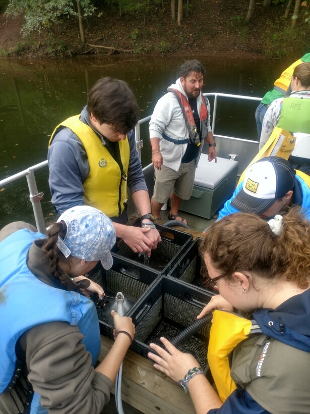 Buffalo District partnered with U.S. Army Corps of Engineers, Raystown Lake​ and students from Juniata College​ to conduct a lake wide aquatic plant survey with emphasis on hydrilla (hydrilla verticillata), an invasive aquatic plant in early October 2018.