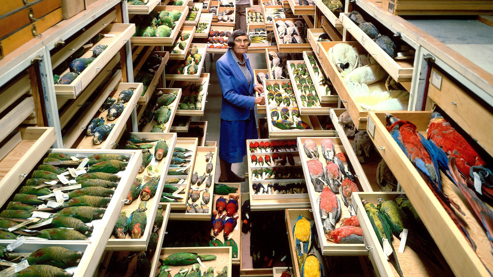 Smithsonian Institution Feather Identification Lab