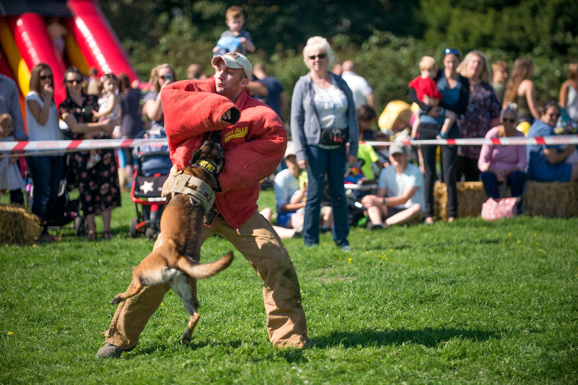 U.S. Air Force Staff Sgt. Jonathan Elder, 100th Security Force Squadron military working dog handler, and MWD Ukkie, perform a demonstration during the Newmarket Fire and Police Fun Day in Newmarket, England, Sept. 2, 2018. The MWDs and handlers demonstrated chest and back bites as well as the “six-phases of aggression.” (U.S. Air Force photo by Staff Sgt. Christine Groening)