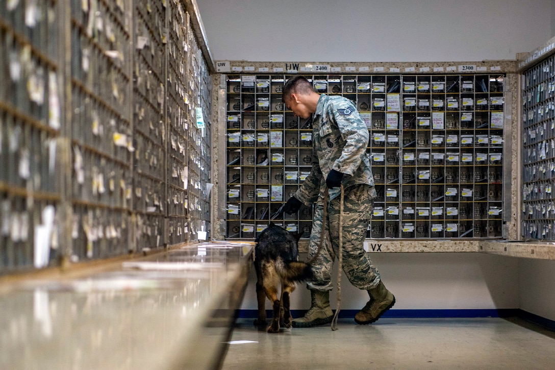 An airman and a military working dog walk around a mailroom.