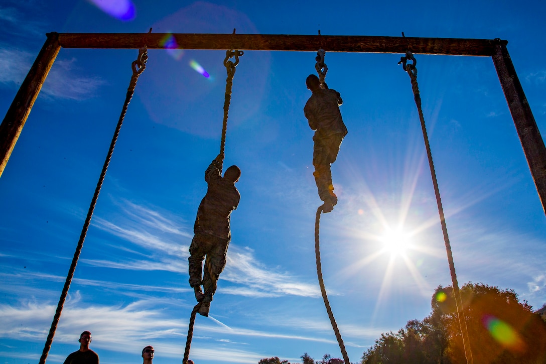 Marines climb ropes.