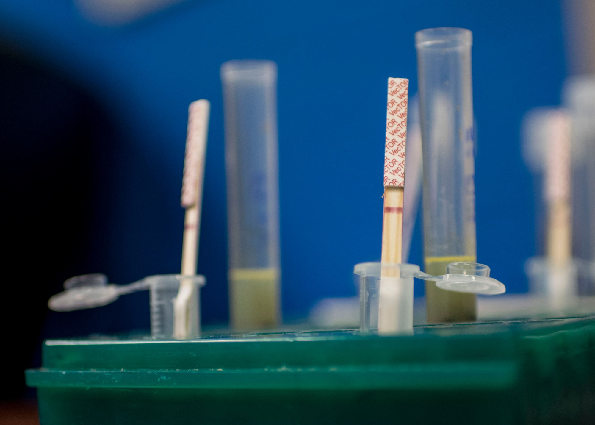 A 633rd Civil Engineer Squadron, pest management technician inspects a specimen of mosquitos before they are tested for vector borne diseases Sept. 5, 2018 at Joint Base Langley-Eustis, Virginia. Mosquito testing is conducted weekly by 633rd CES personnel to under JBLE’s ongoing mosquito prevention program. (U.S. Air Force photo by Nicholas J. De La Peña)