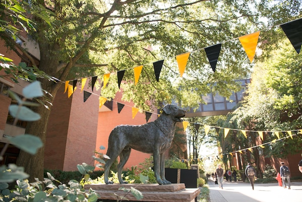 A bronze sculpture of UMBC's mascot True Grit, a Chesapeake Bay Retriever, stands proudly next to the main walking path between UMBC's academic buildings. Students can be seen walking on the path and there is canopy of trees and black and gold decorative flags overhead.