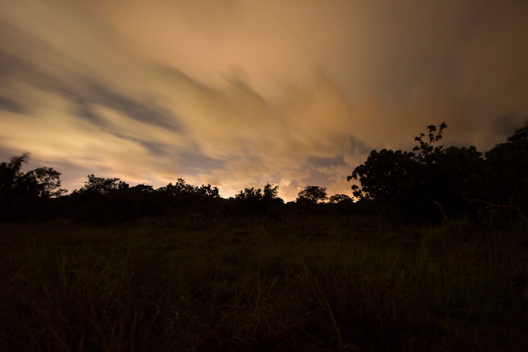 The dense yornebush of Northwest Field idles at twilight August 31, 2018, at Andersen Air Force Base, Guam. Northwest Field encompasses an enormous amount of land that is part of Andersen AFB (U.S. Air Force photo by Senior Airman Zachary Bumpus)