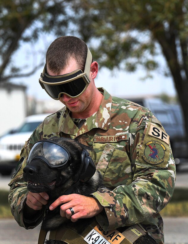 An airman adjust goggles on a military working dog.