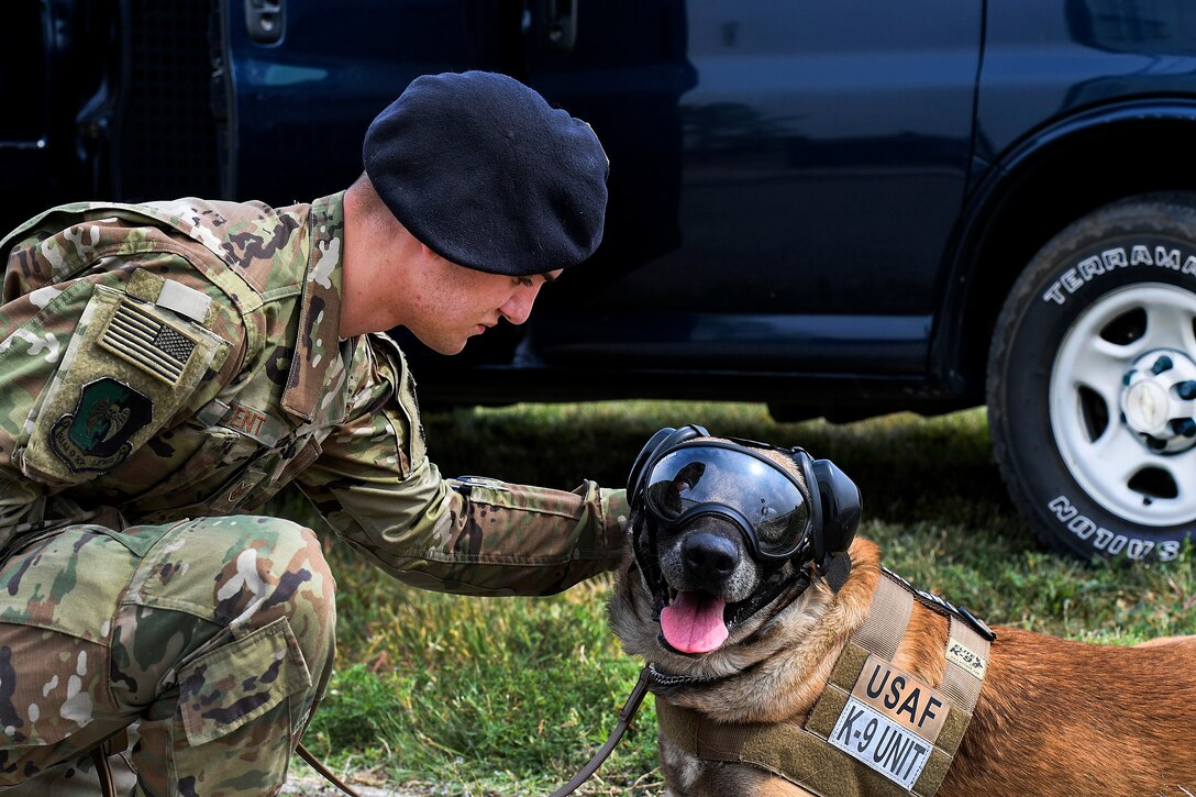 An airman pets a military working dog before flight familiarization training.