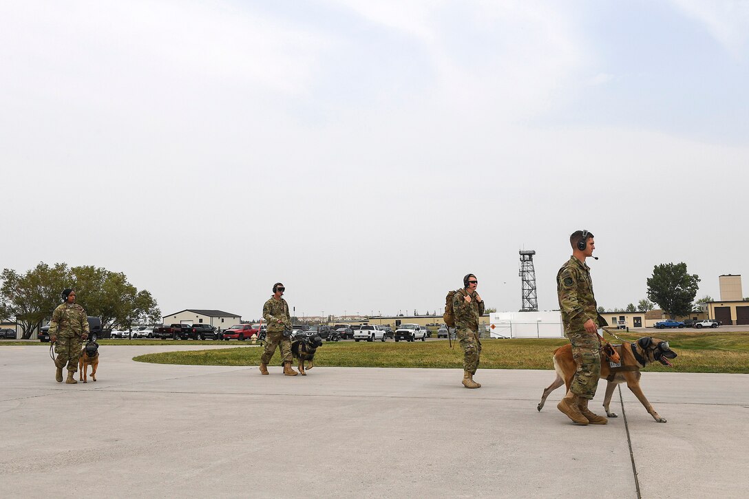 Airmen and their military working dogs walk to awaiting helicopters.