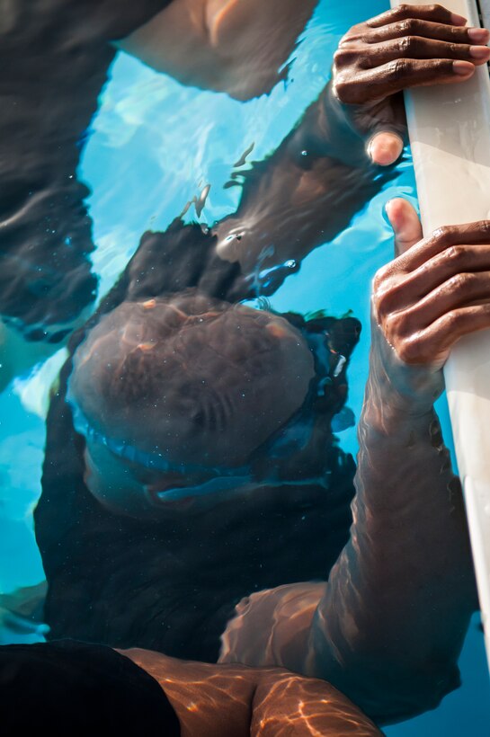 (U.S. Air Force photo Tech. Sgt. Jared Trimarchi)