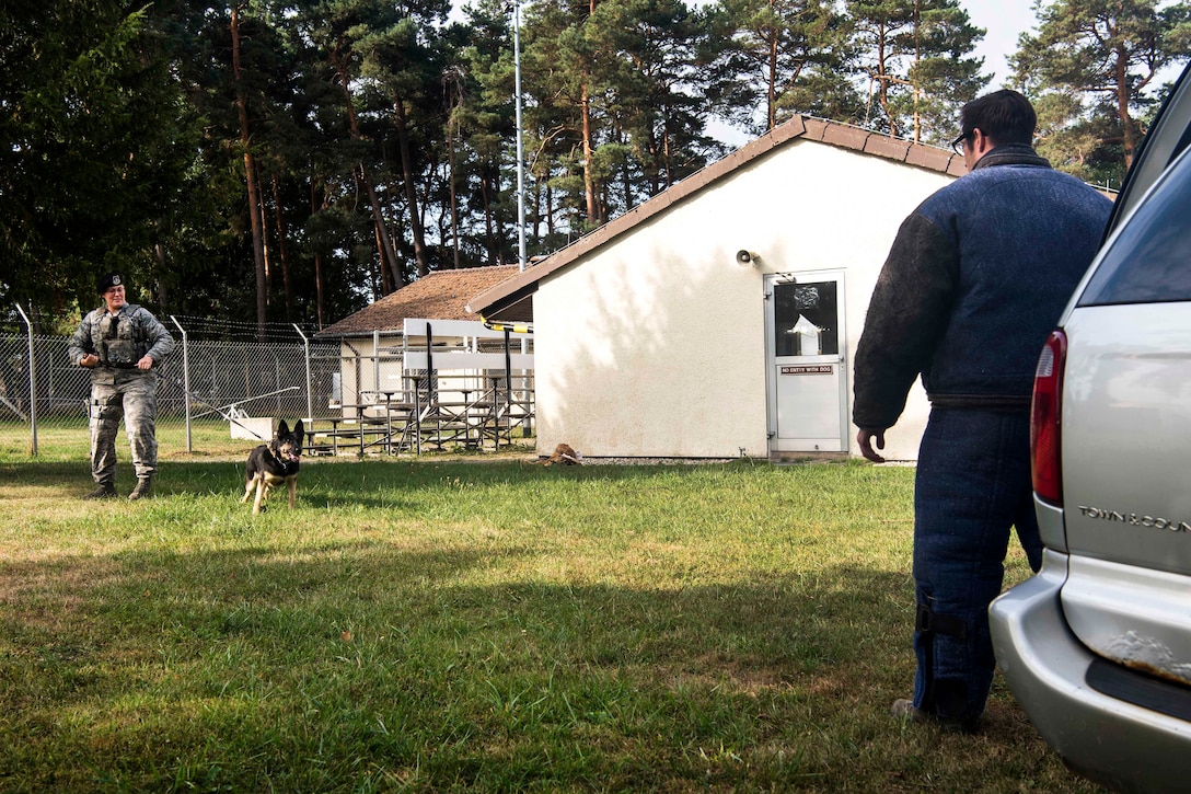 An airman releases a military working dog during vehicle extraction training.