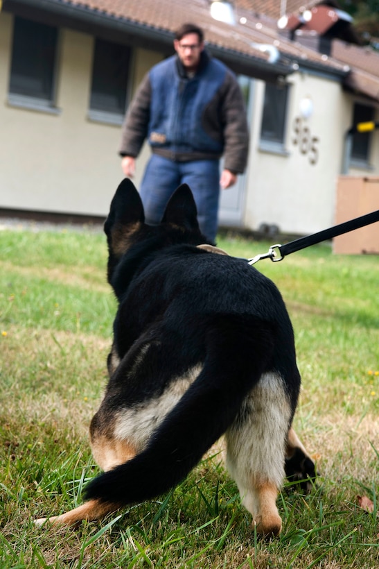 An airman and her military working dog take a break from training.