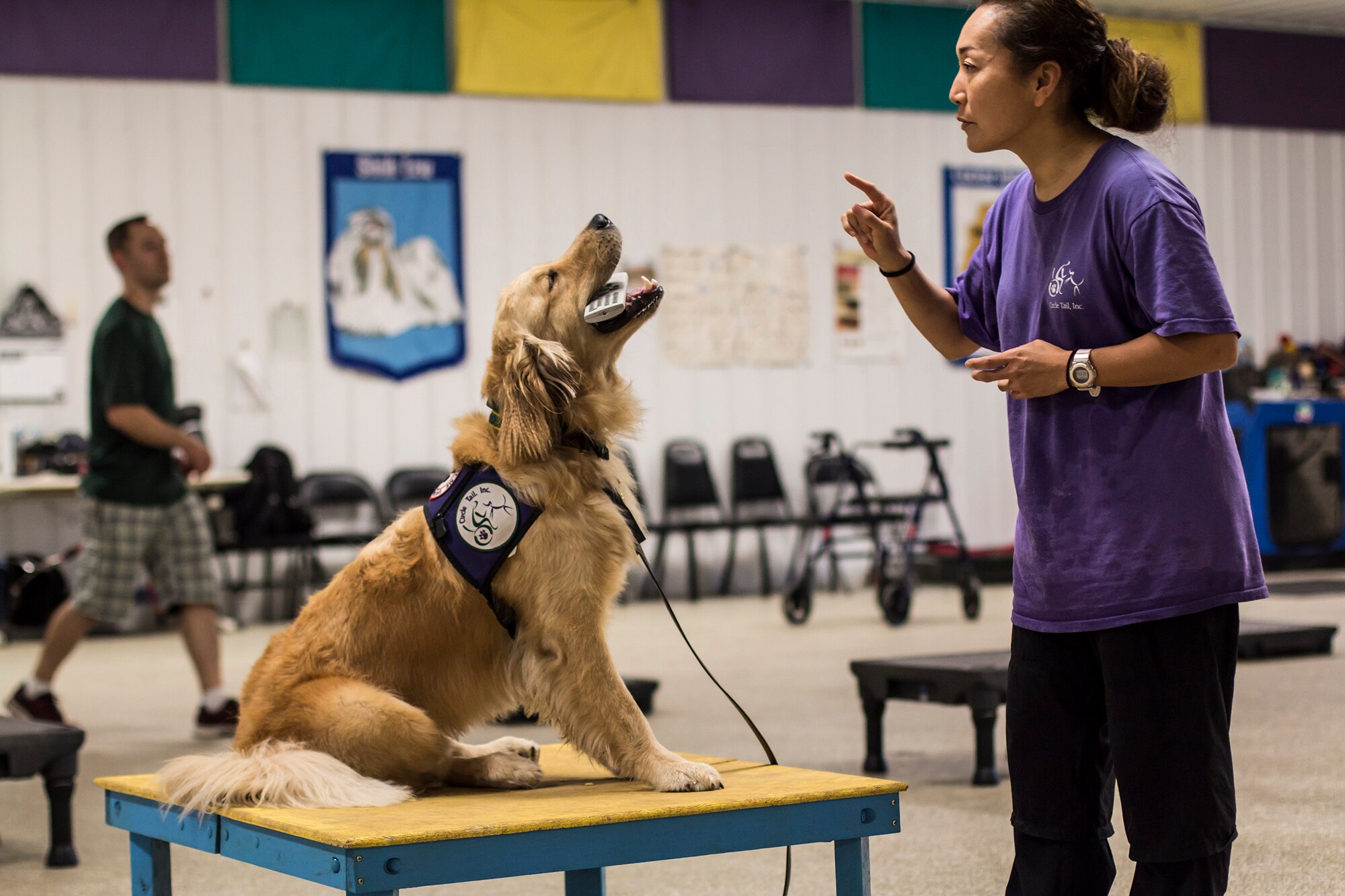 Chiaki Fanelli, a Circle Tail service dog trainer, and Palmer, a Circle Tail service dog, demonstrate the ability to delicately carry a remote control during training at the indoor training center at Circle Tail, Inc. in Pleasant Plain, Ohio, August 16, 2018.