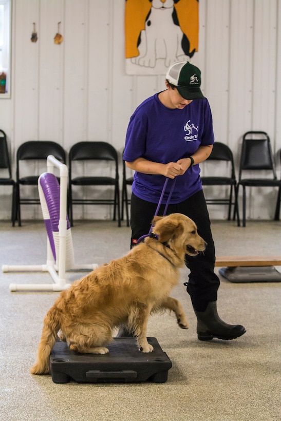 Capt. Emily Cost, Army National Guard and trainer at Circle Tail, Inc., takes Palmer, a future service dog, through the indoor training center obstacle course at Circle Tail, Inc. in Pleasant Plain, Ohio, August 16, 2018. Emily has worked with Circle Tail for almost a decade and now partners with them on a full-time basis.